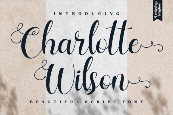 Charlotte Wilson: A Romantic Script Font That Cuts Through the Feed